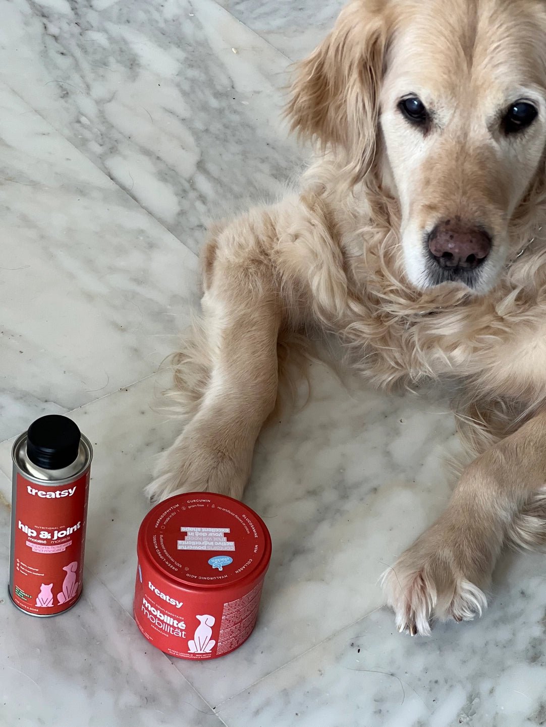 Dog Hip & Joint Supplement / Vet Recommended / Chicken by Treats - Bobo and the Fox