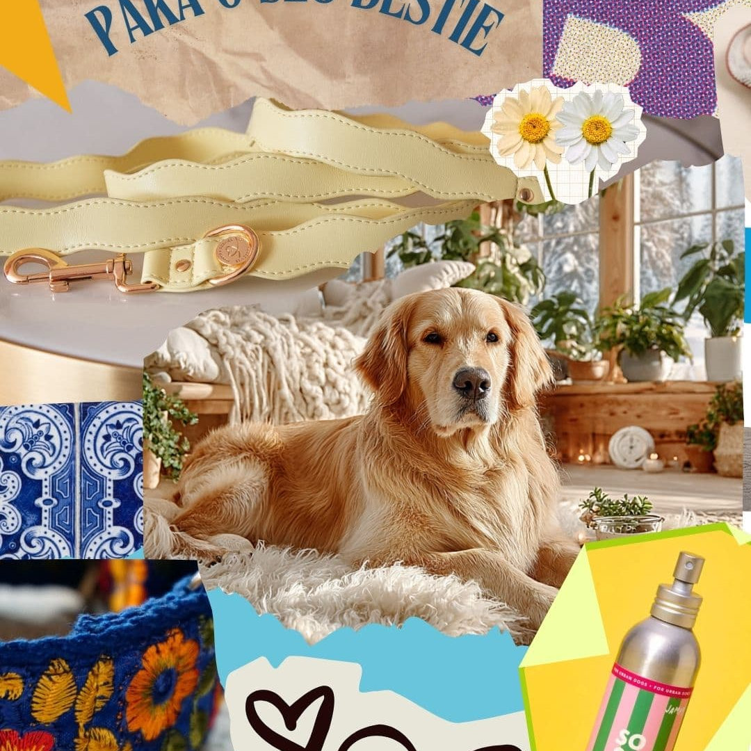 Dog lying on a couch with a leash, flowers, and pet care products in a collage.