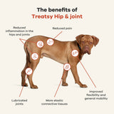 Dog Hip & Joint Supplement / Vet Recommended / Chicken by Treats - Bobo and the Fox
