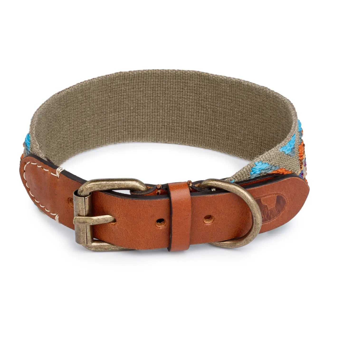 Etna Green Dog Collar by Buddys Dogwear - Bobo and the Fox