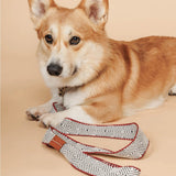 Capri Beach Day Dog Leash by Buddys Dogwear - Bobo and the Fox