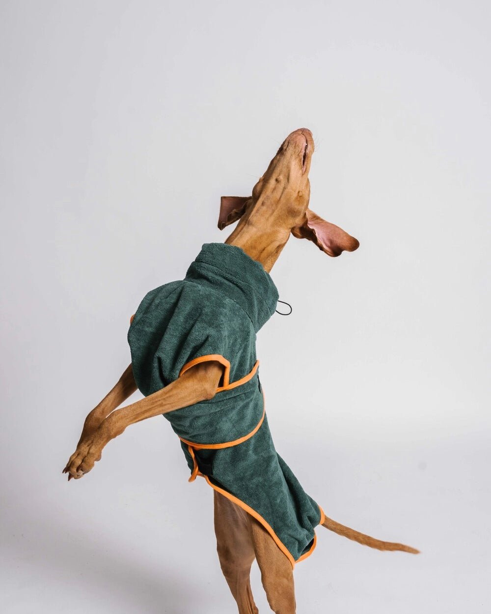 Bathrobe by Gula - Bobo and the Fox