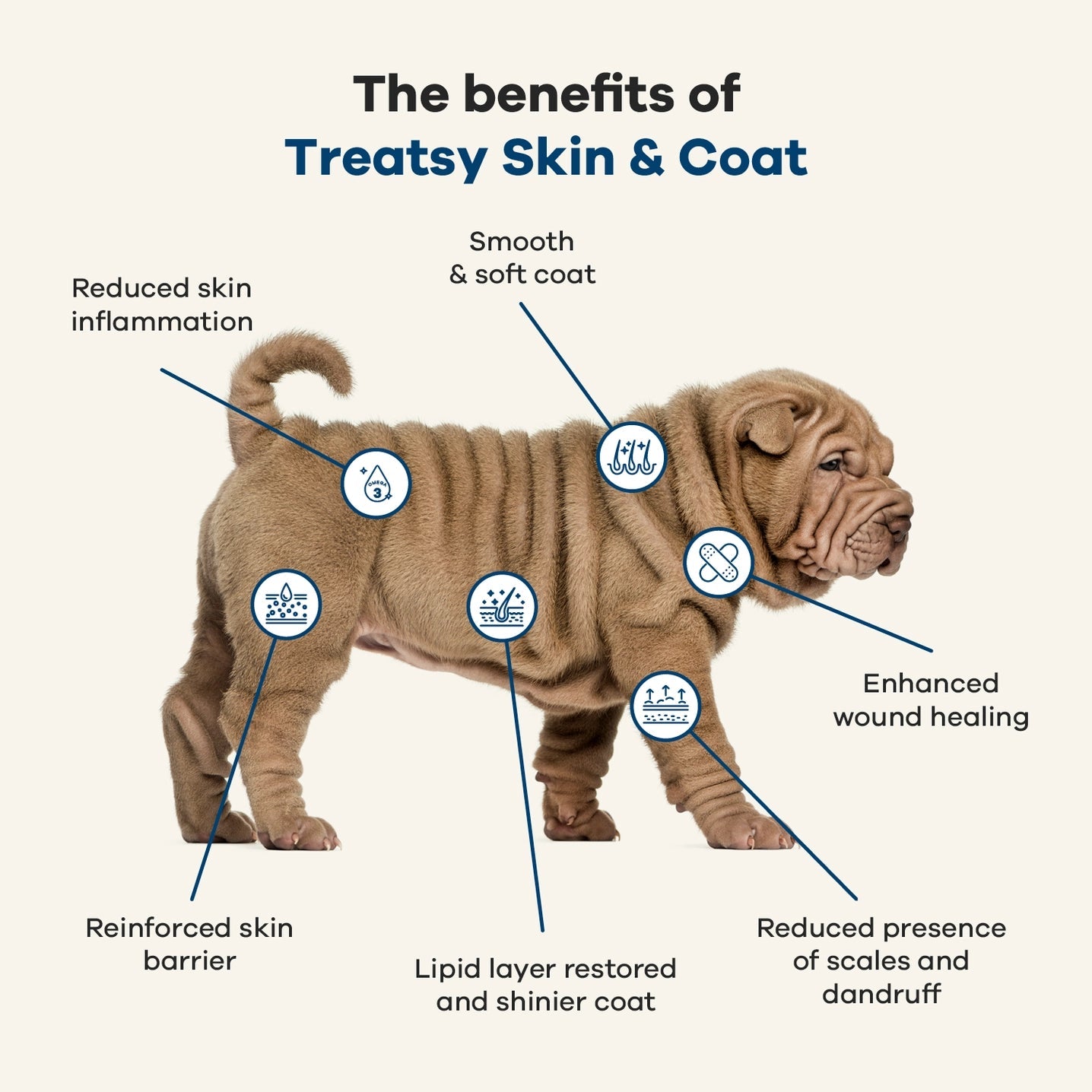 Dog Skin & Coat Supplement / Vet Recommended / Chicken by Treatsy - Bobo and the Fox