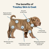 Dog Skin & Coat Supplement / Vet Recommended / Chicken by Treatsy - Bobo and the Fox