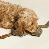 Etna Green Dog Leash by Buddys Dogwear - Bobo and the Fox