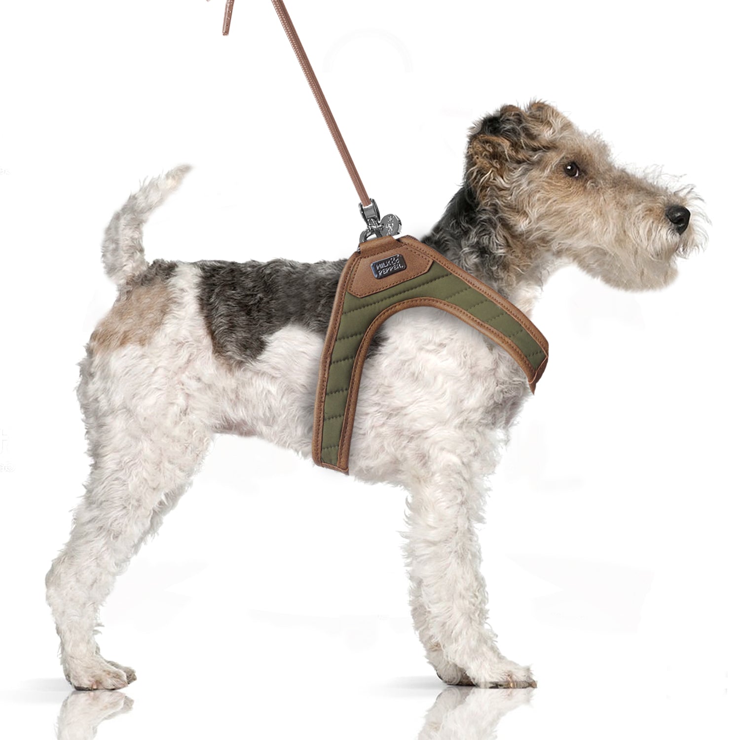 Gabin Harness Khaki / Brown by Milk & Pepper - Bobo and the Fox