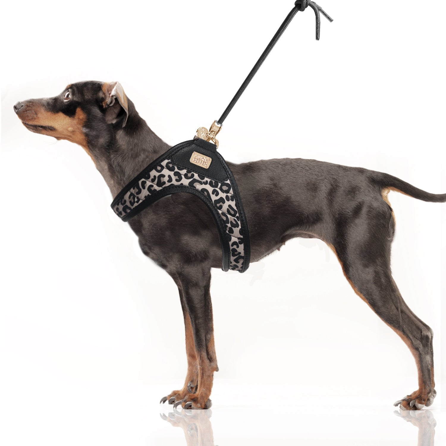 Thalia Leopard Harness by Milk & Pepper - Bobo and the Fox