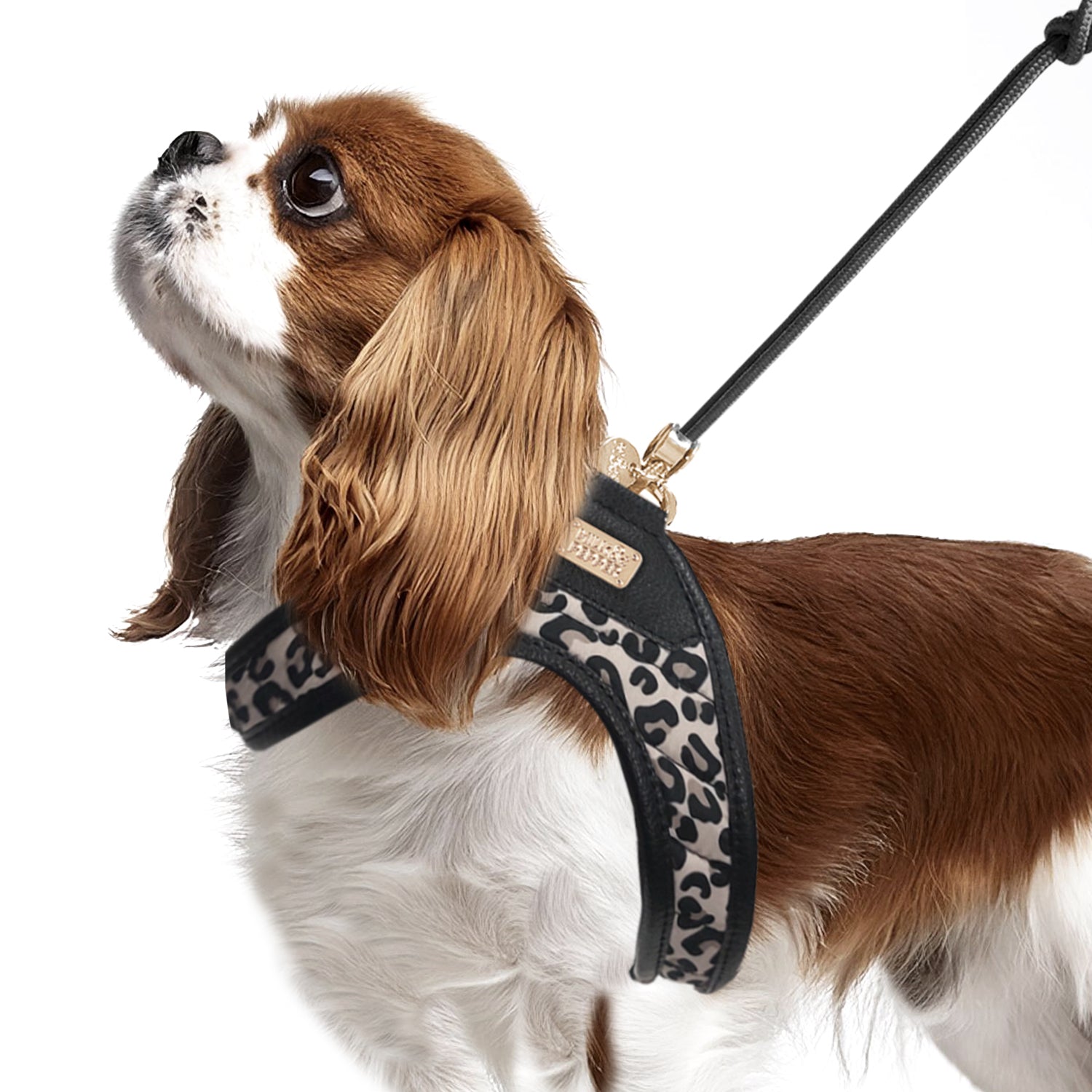 Thalia Leopard Harness by Milk & Pepper - Bobo and the Fox