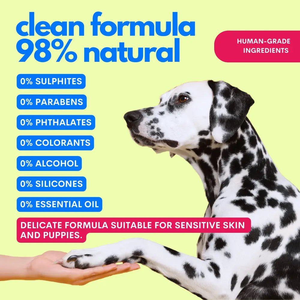 One Two Clean - Dog Cleansing Gel No - Rinse 98% Natural by Jampy - Bobo and the Fox