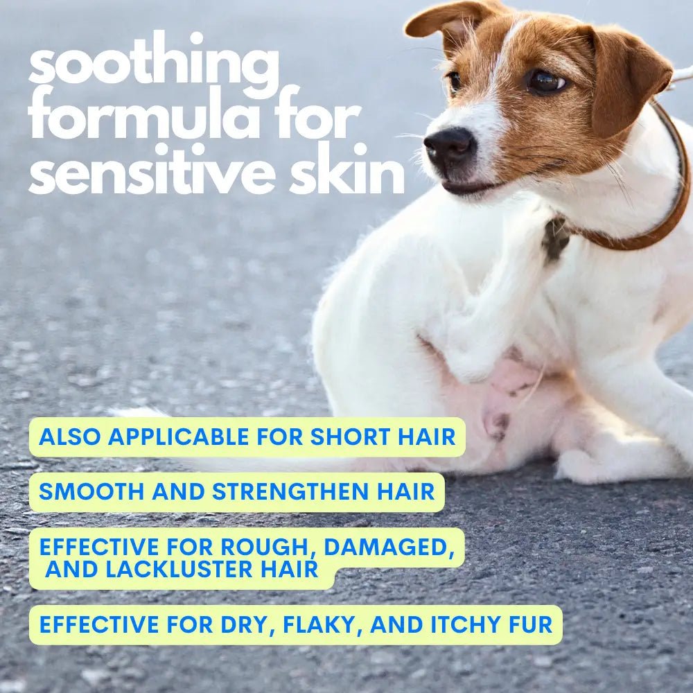 So So Soft - Dog Detangling Hydrating Keratin - Based Spray by Jampy - Bobo and the Fox