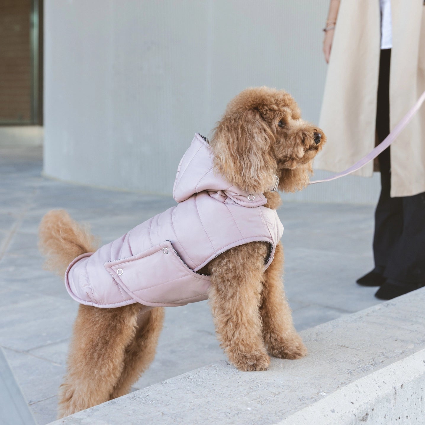 Waterproof Dog Jacket by B de Bruno - Bobo and the Fox