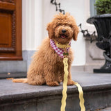 Wavy Hands - free Adjustable Leash by Floofs and Cookies - Bobo and the Fox
