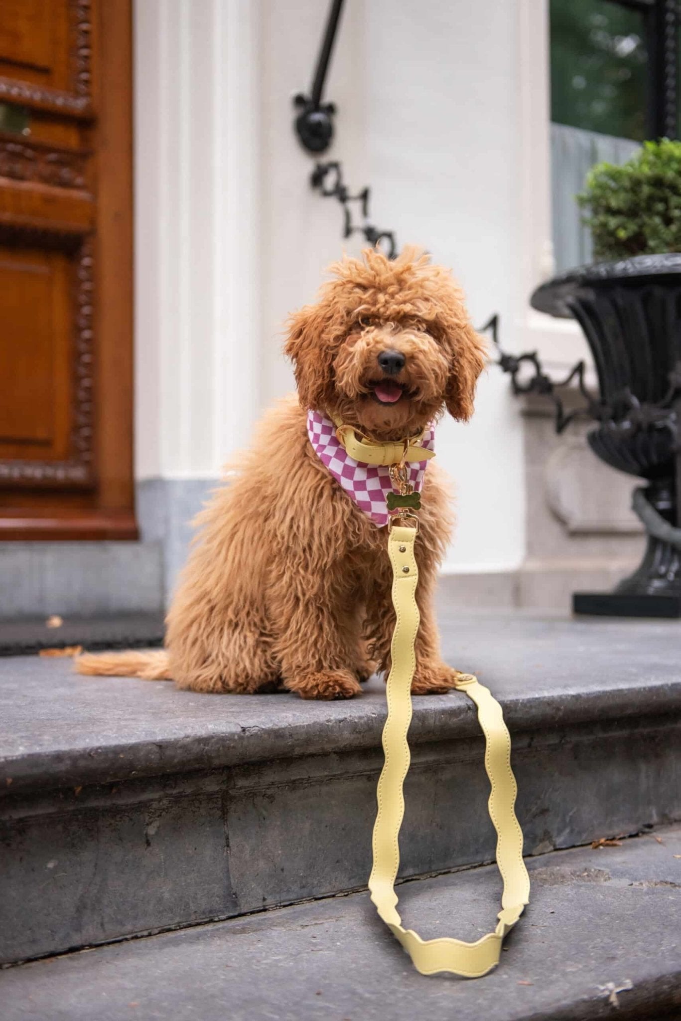 Wavy Hands - free Adjustable Leash by Floofs and Cookies - Bobo and the Fox