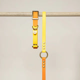 Bi - color Biothane Leash Yellow and Orange by Kitsune Dog - Bobo and the Fox