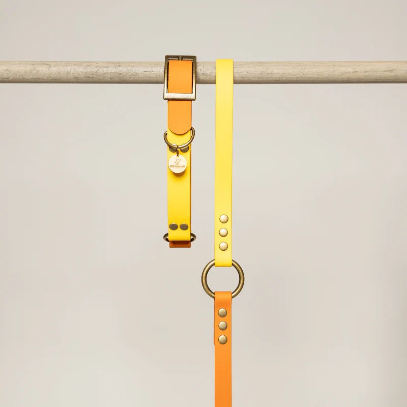 Bi - color Biothane Collar Yellow and Orange by Kitsune Dog - Bobo and the Fox