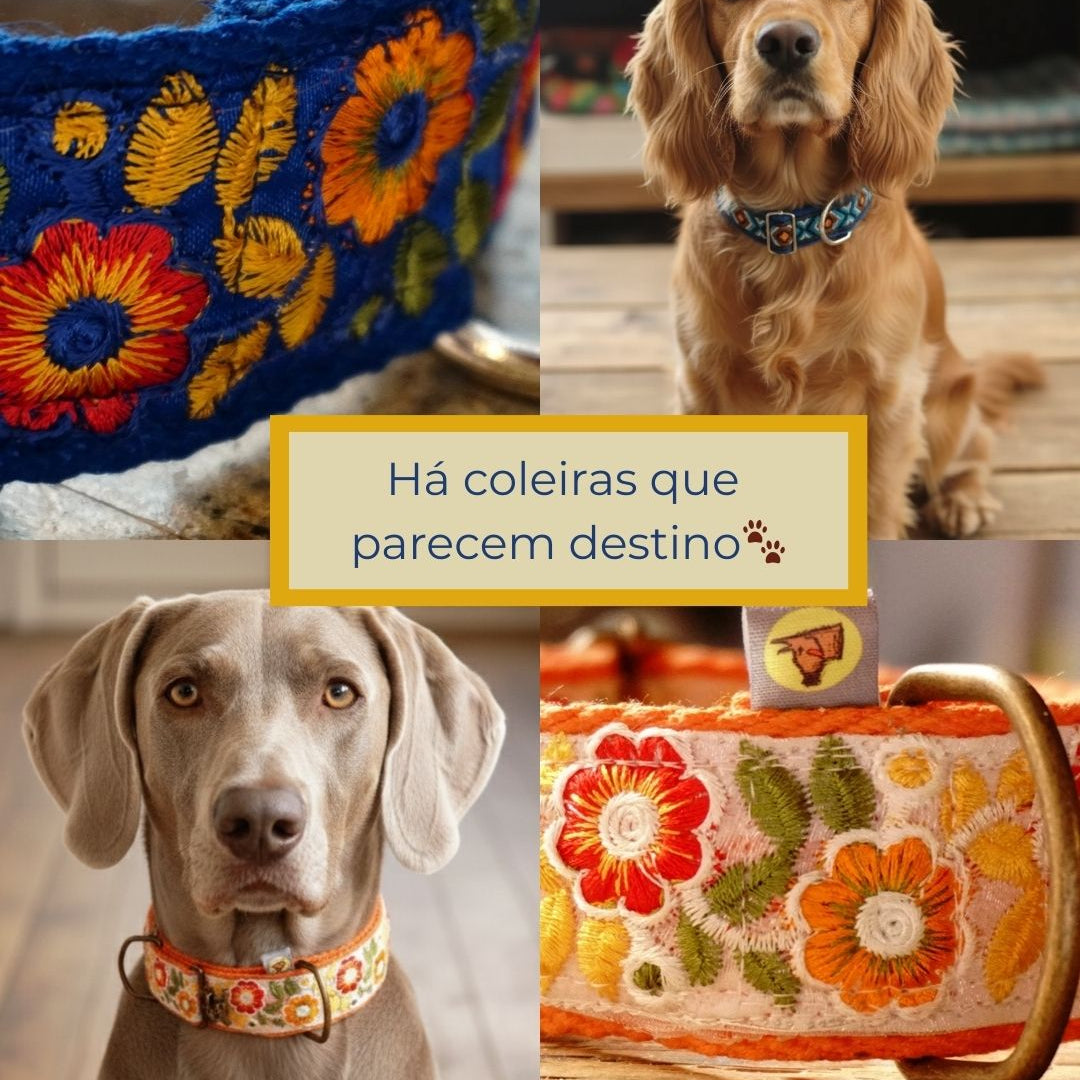 Collage of dogs wearing colorful collars with floral patterns on a wooden surface.