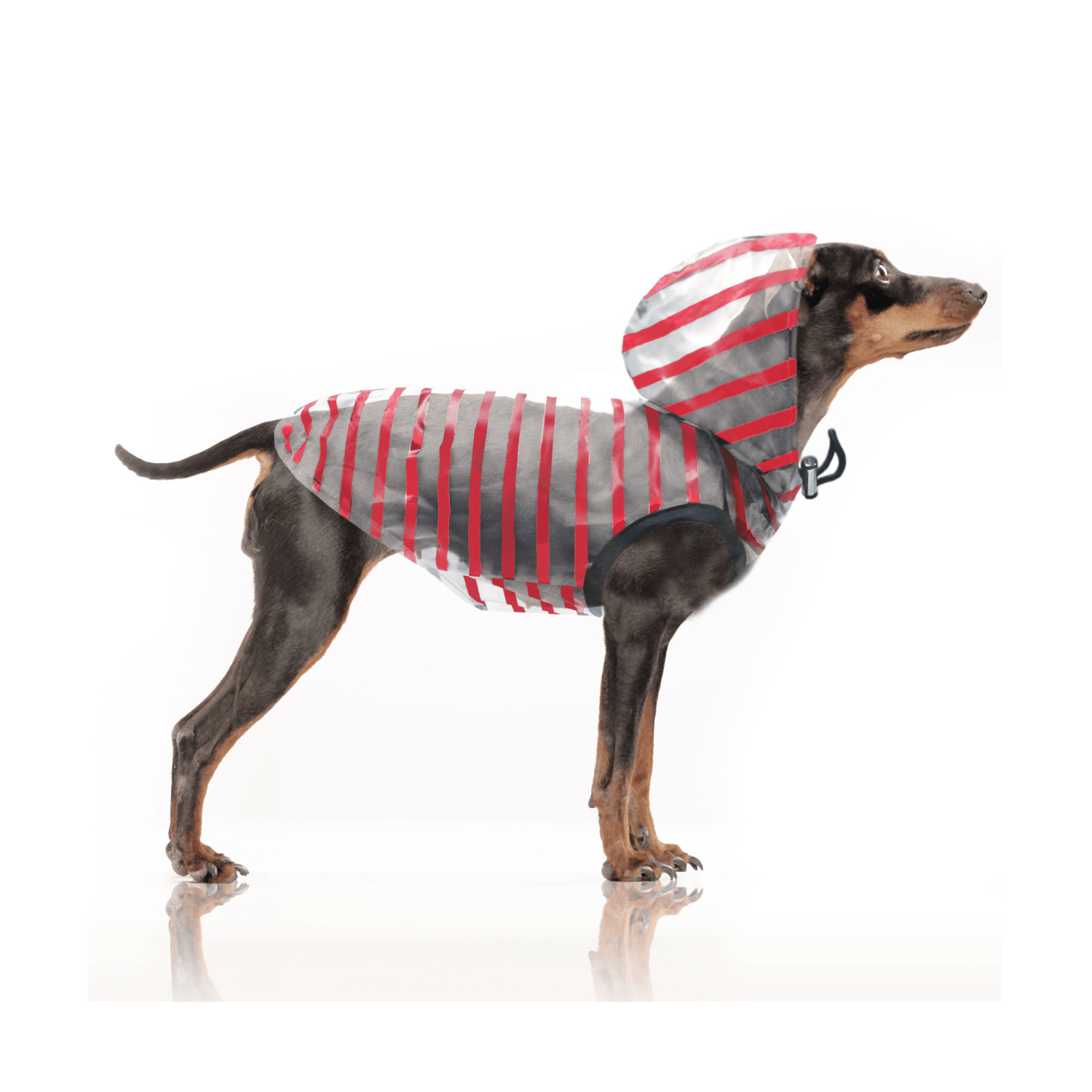 Arzel Raincoat by Milk & Pepper - Bobo and the Fox