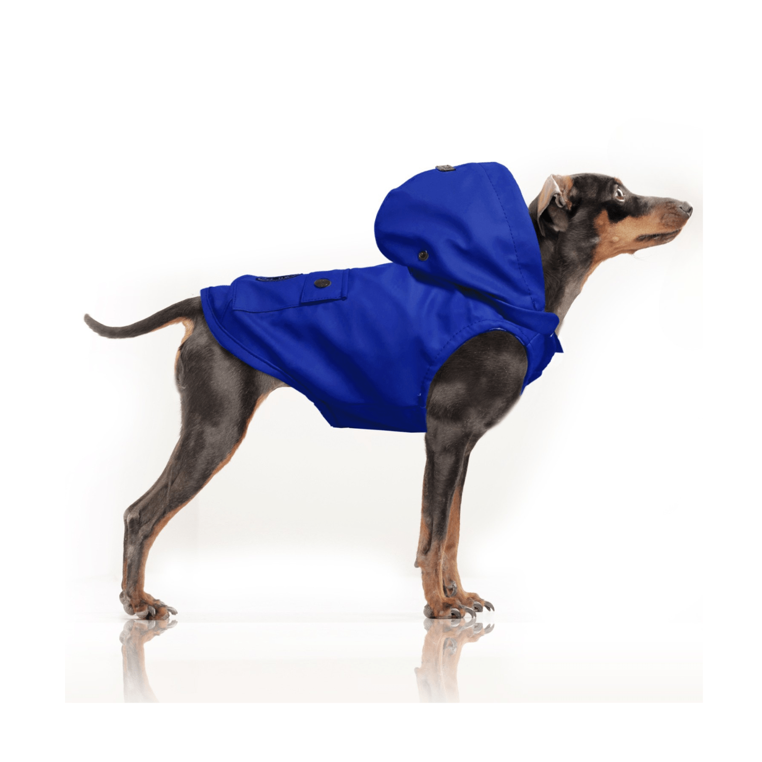 Babord Blue Raincoat by Milk & Pepper - Bobo and the Fox
