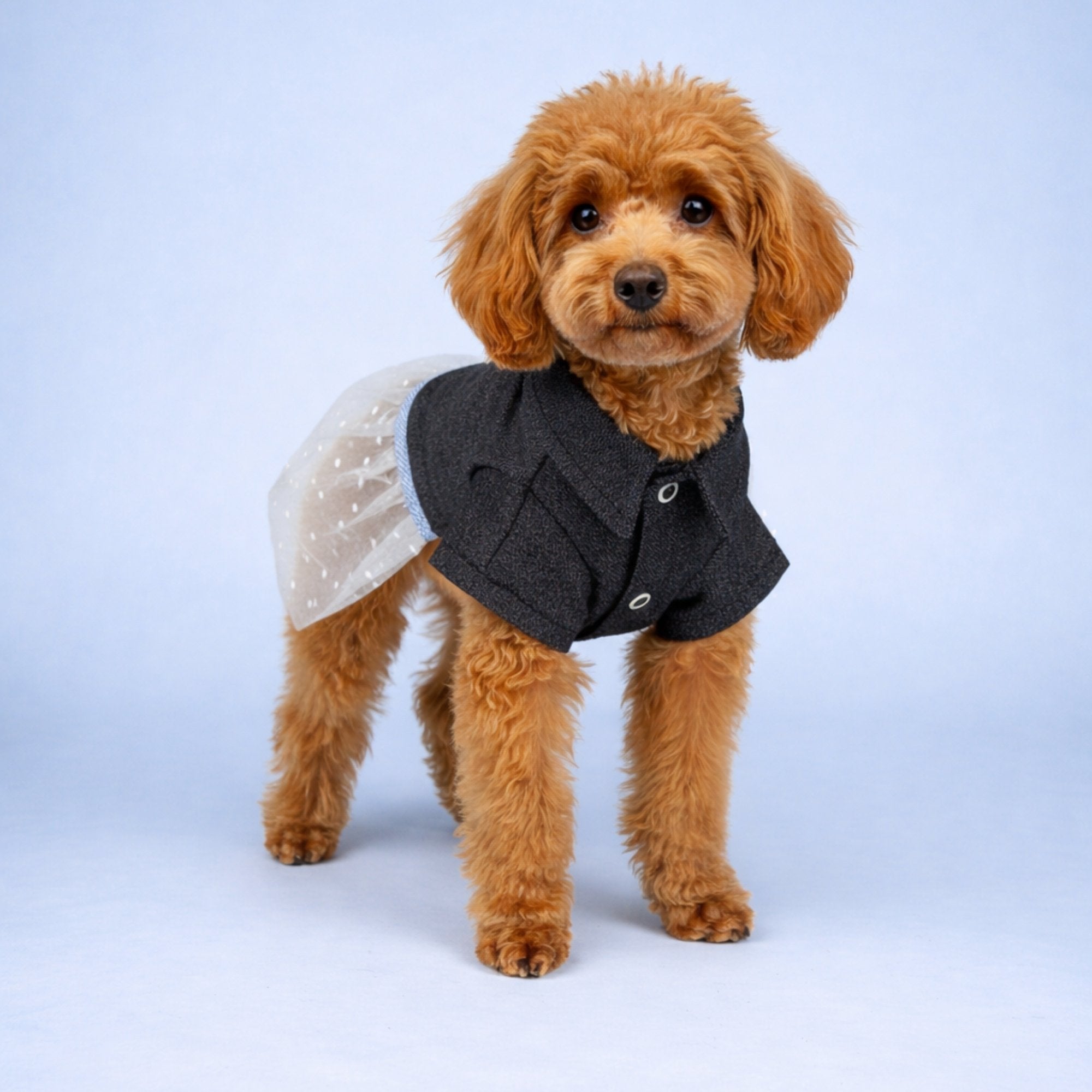 Denim & Tulle One-Piece Dress by Paw & Love – Bobo and the Fox