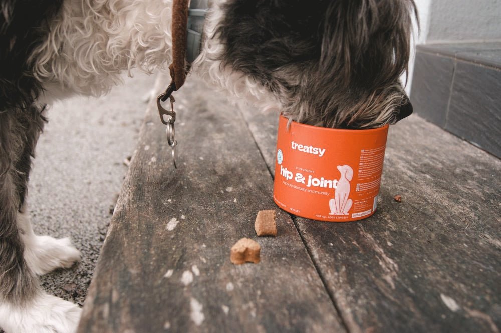 Dog Hip & Joint Supplement / Vet Recommended / Chicken by Treats - Bobo and the Fox