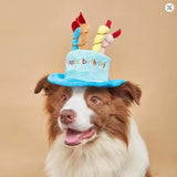 Chapéu de Aniversário Ajustável para Cão com Velas Coloridas