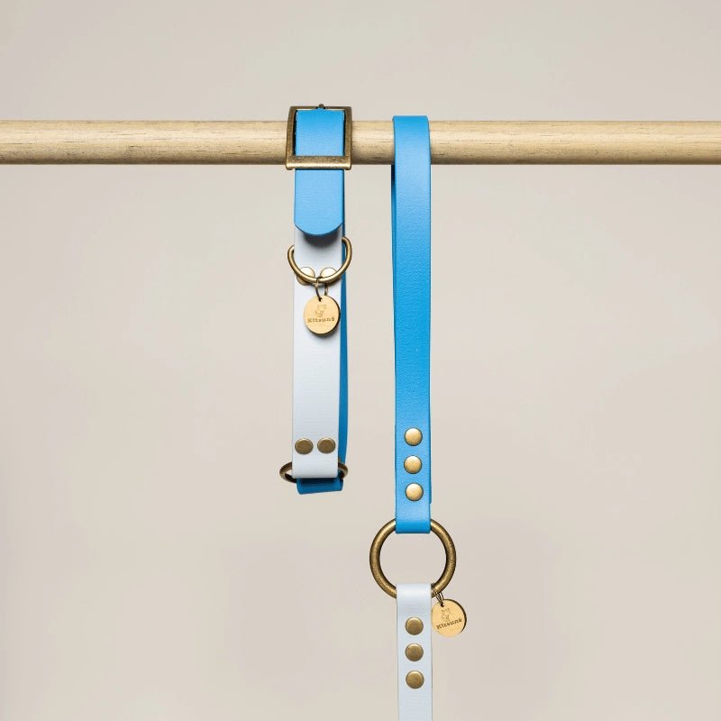 Bi - color Biothane Leash Azur Blue/Sky by Kitsune Dog - Bobo and the Fox
