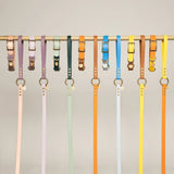 Bi - color Biothane Leash Azur Blue/Sky by Kitsune Dog - Bobo and the Fox