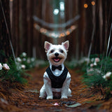 Arnês Clássico Tuxedo para Cães