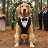 Arnês Clássico Tuxedo para Cães