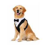 Arnês Clássico Tuxedo para Cães