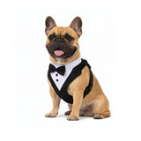 Arnês Clássico Tuxedo para Cães