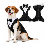 Arnês Clássico Tuxedo para Cães
