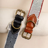 Capri Beach Day Dog Collar by Buddys Dogwear - Bobo and the Fox