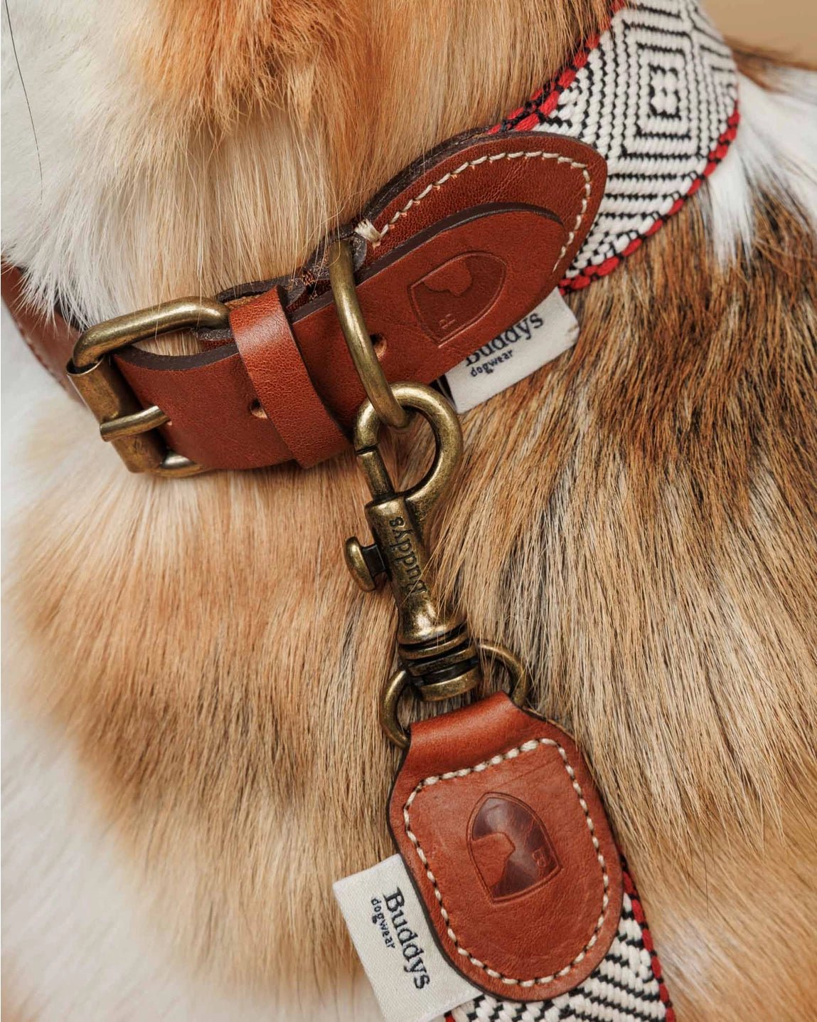 Capri Beach Day Dog Leash by Buddys Dogwear - Bobo and the Fox