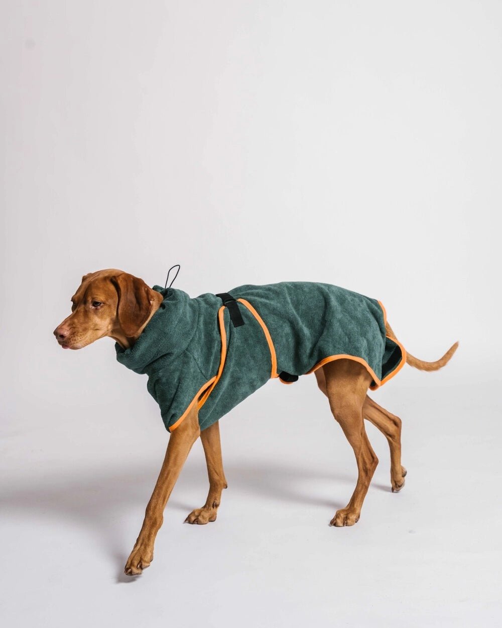 Bathrobe by Gula - Bobo and the Fox