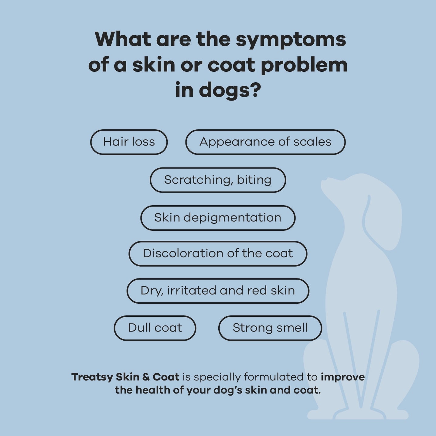 Dog Skin & Coat Supplement / Vet Recommended / Chicken by Treatsy - Bobo and the Fox