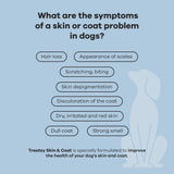 Dog Skin & Coat Supplement / Vet Recommended / Chicken by Treatsy - Bobo and the Fox