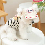 Chapéu de Sol para Cão Estilo Boné