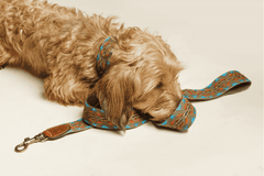 Etna Green Dog Leash by Buddys Dogwear - Bobo and the Fox