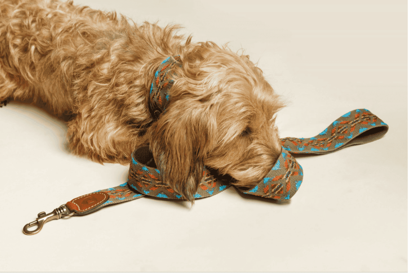 Etna Green Dog Leash by Buddys Dogwear - Bobo and the Fox