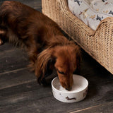 Tigela de Cão em Grés Doggy Daycare — Sophie Allport
