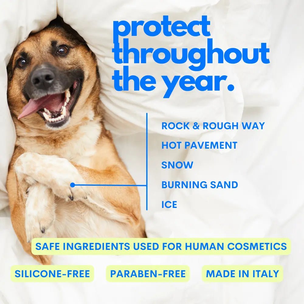 Dream Cream – Nourishing Multipurpose %97 Natural Cream by Jampy - Bobo and the Fox