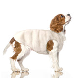 Casaco reversível Candice da Milk & Pepper 