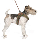 Gabin Harness Khaki / Brown by Milk & Pepper - Bobo and the Fox