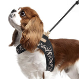 Thalia Leopard Harness by Milk & Pepper - Bobo and the Fox