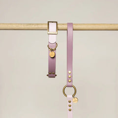 Bi - color Biothane Leash Mauve and Violet by Kitsune Dog - Bobo and the Fox