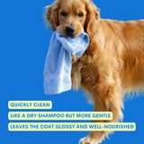 One Two Clean - Dog Cleansing Gel No - Rinse 98% Natural by Jampy - Bobo and the Fox