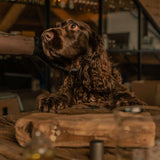 100% Natural Dog Perfume - Wild Garden by Frenky Lewis - Bobo and the Fox