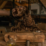 100% Natural Dog Perfume - Ocean - by Frenky Lewis - Bobo and the Fox