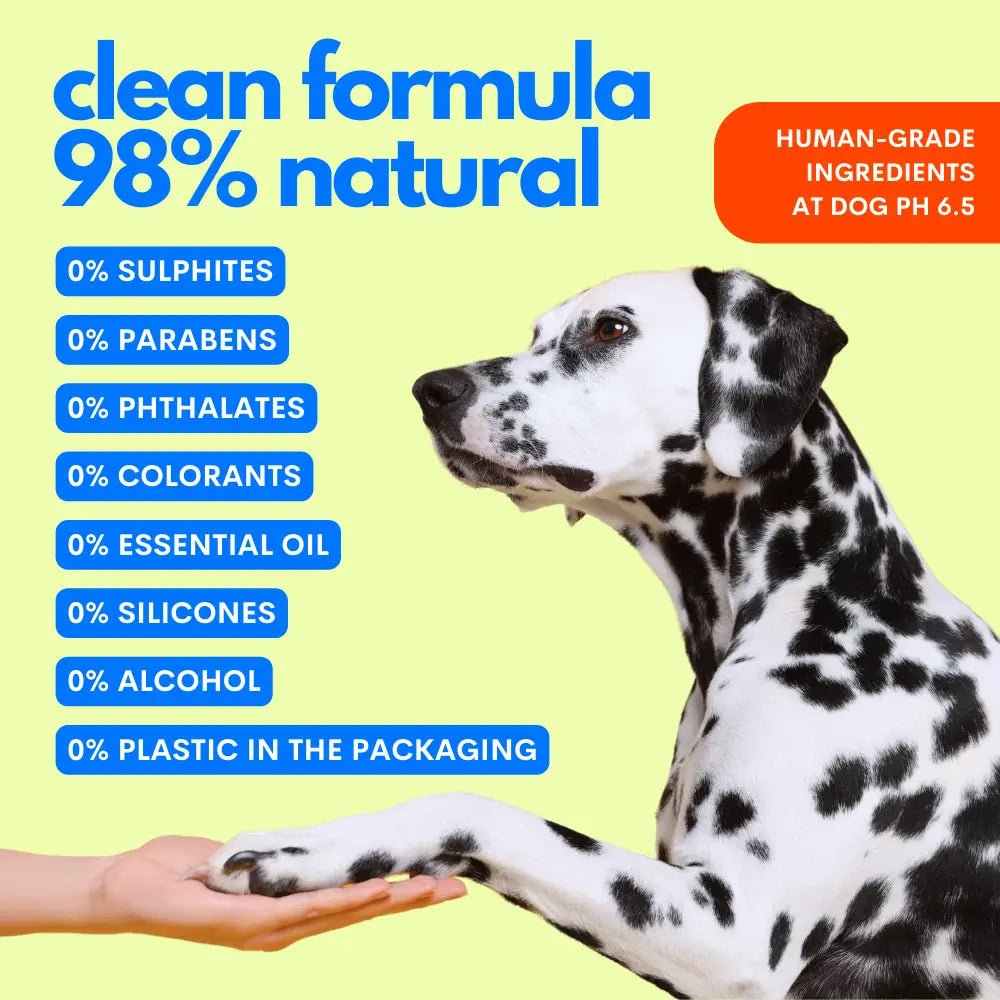 The Number One Shampoo+Conditioner Hypoallergenic For Dogs by Jampy - Bobo and the Fox